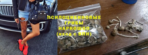 ECSTASY Алзамай
