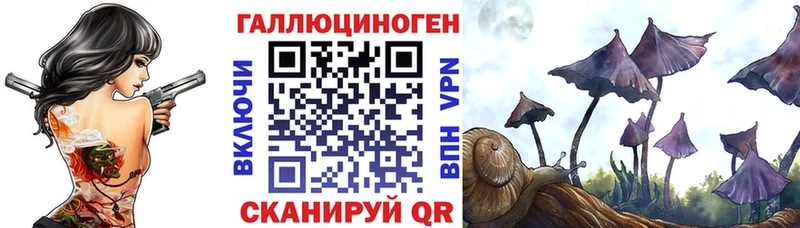 Галлюциногенные грибы прущие грибы  Находка 