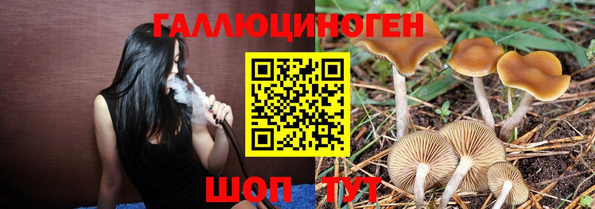 Галлюциногенные грибы прущие грибы Находка