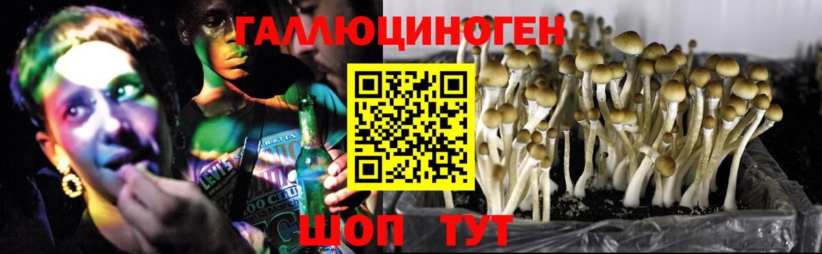 Галлюциногенные грибы Magic Shrooms  Вход с VPN  Находка 